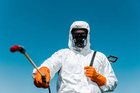 Reliable Ringgold, LA Pest control Solutions